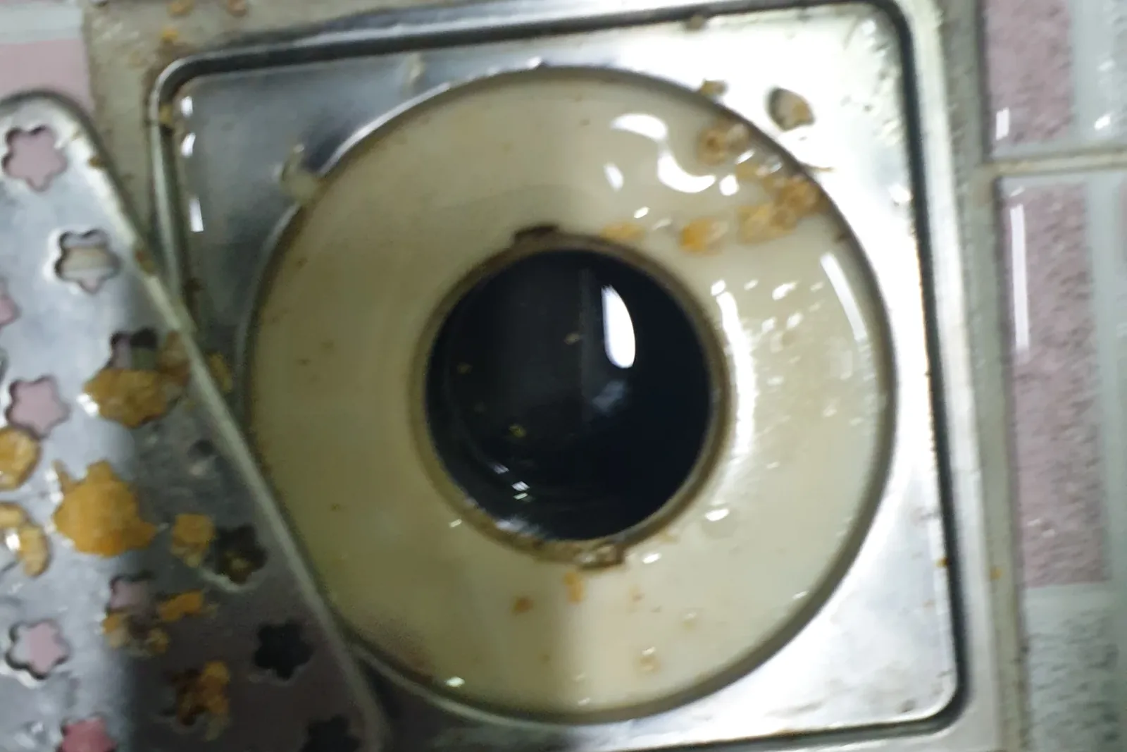 바닥 배수구에 역류로 고인 검은 물
