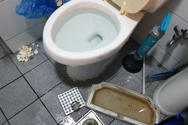 화장실 바닥 배수구 역류로 고인 오수 확인